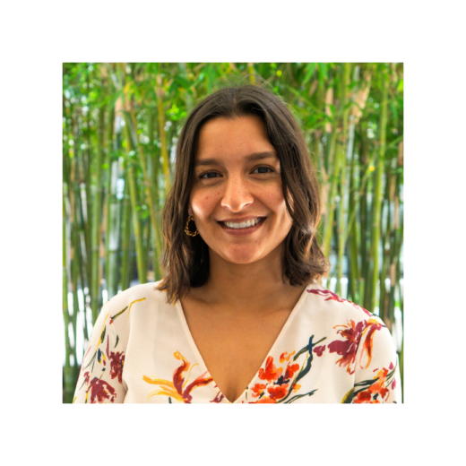 Gabriela Alejos, LCSW